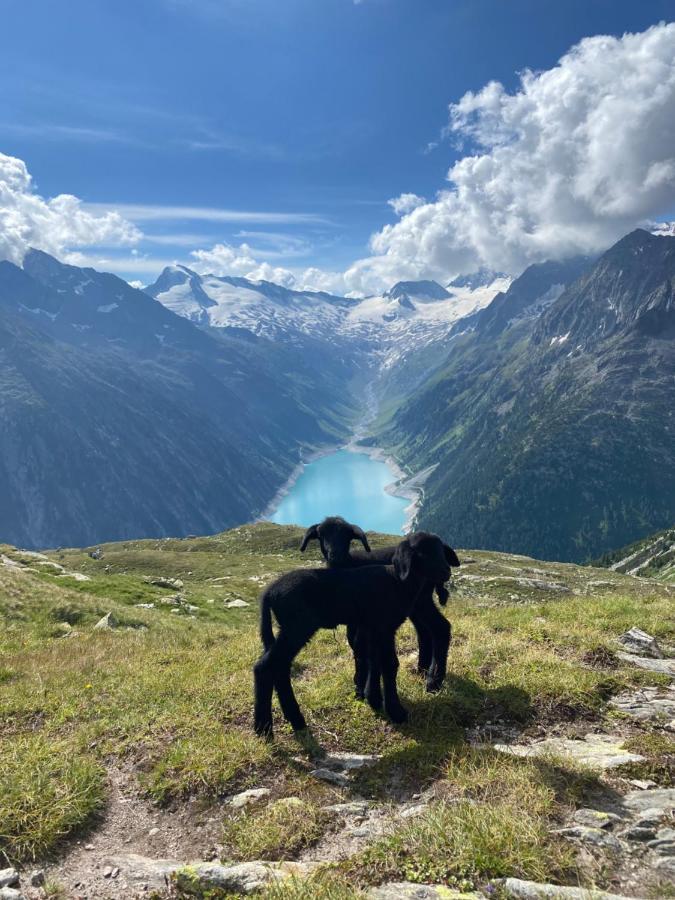 Ferienwohnung Schiestl Zell am Ziller Buitenkant foto